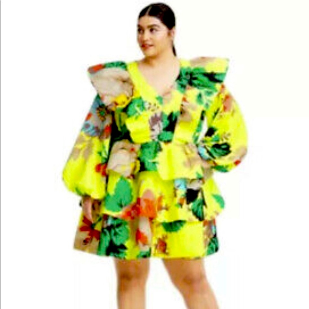 NWT Plus Size Christopher John Rogers dress